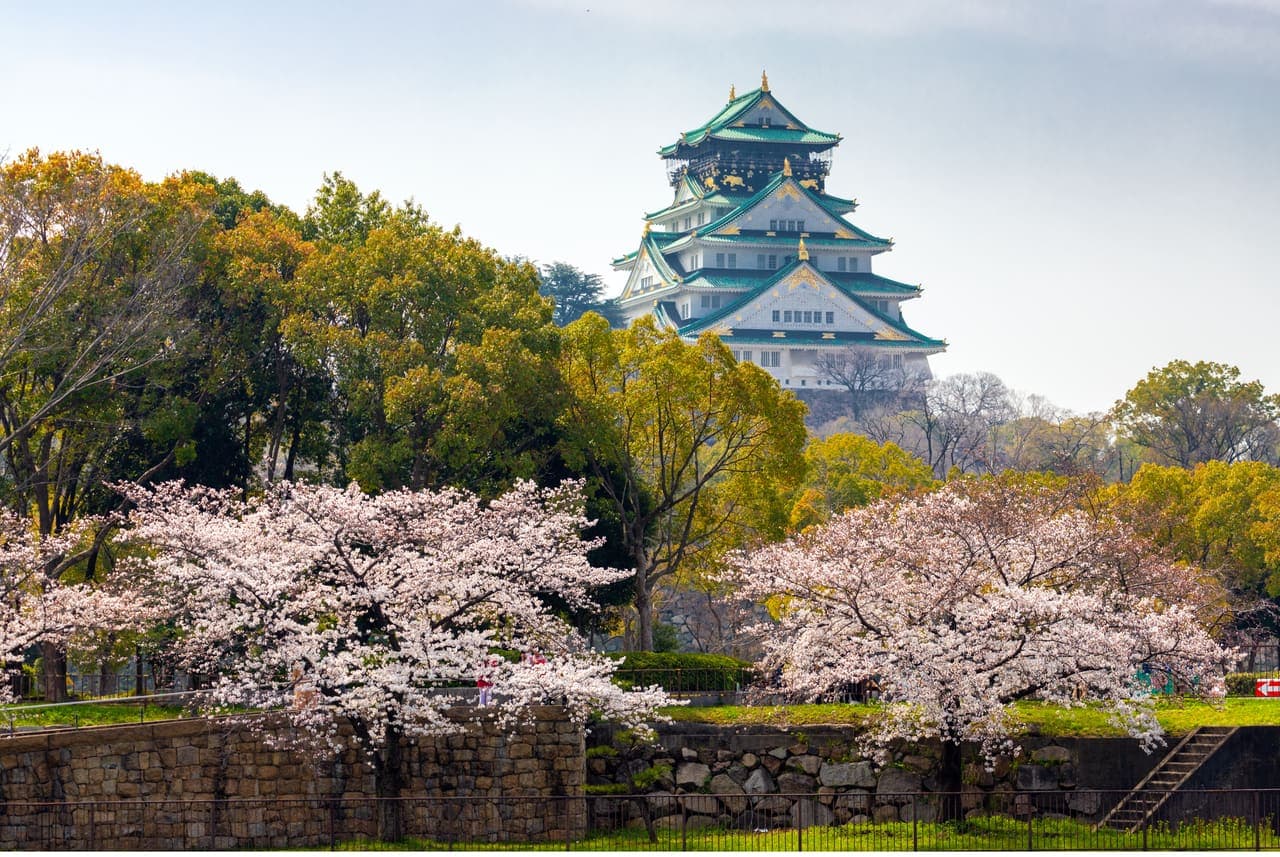 Osaka Castle among cherry trees