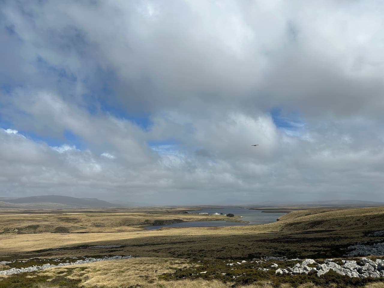 Open moorland near Stanley, Falkland Islands