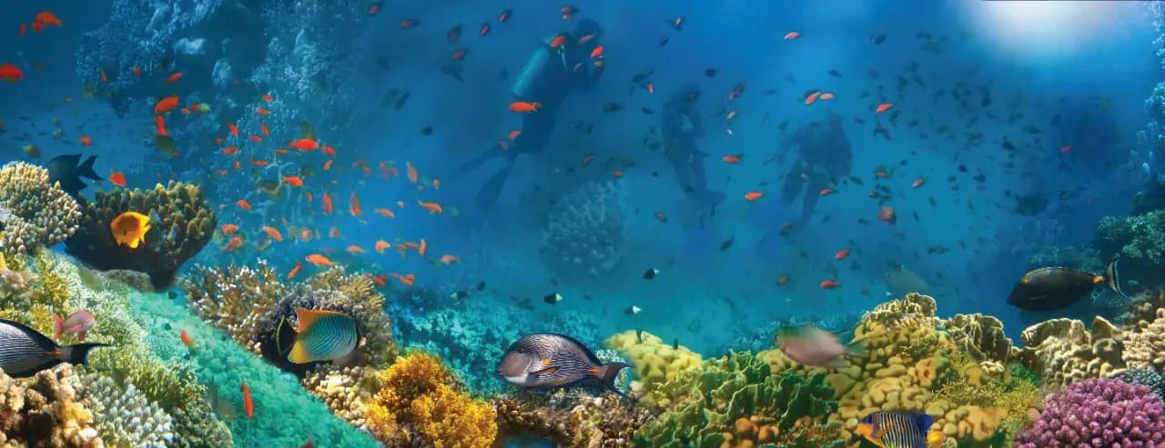 Mahogany Bay, Roatan