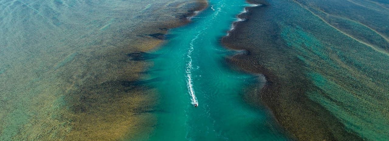 Montgomery Reef, Western Australia