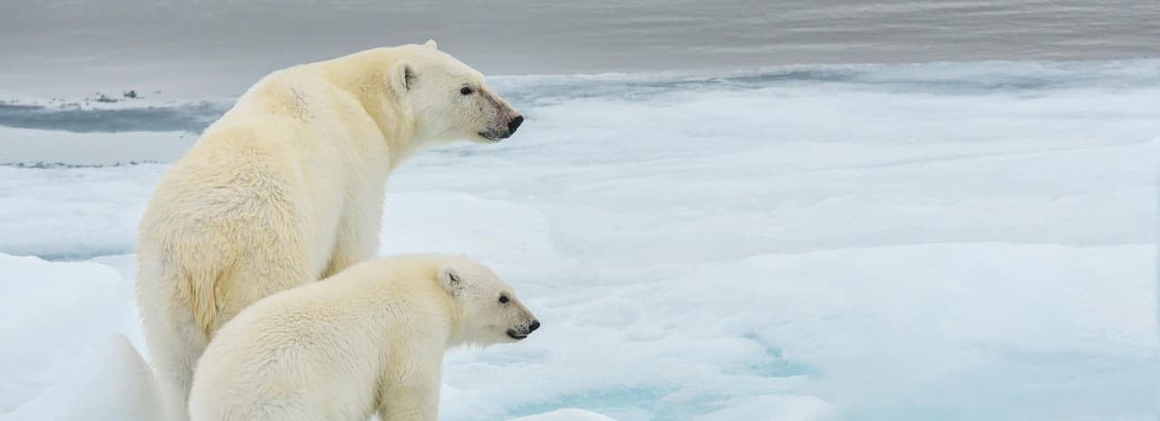 Svalbard Experience