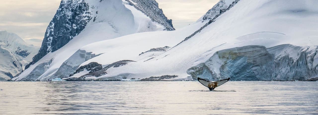The Seabourn Antarctic Experience (Day 4)