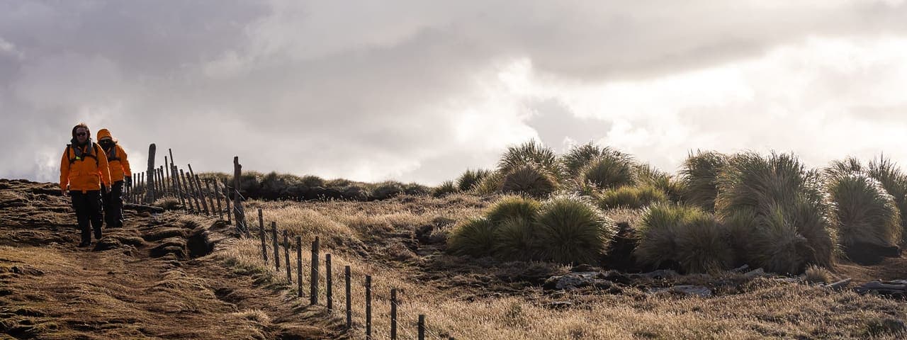 The Seabourn Falkland Island Experience (Day 2)