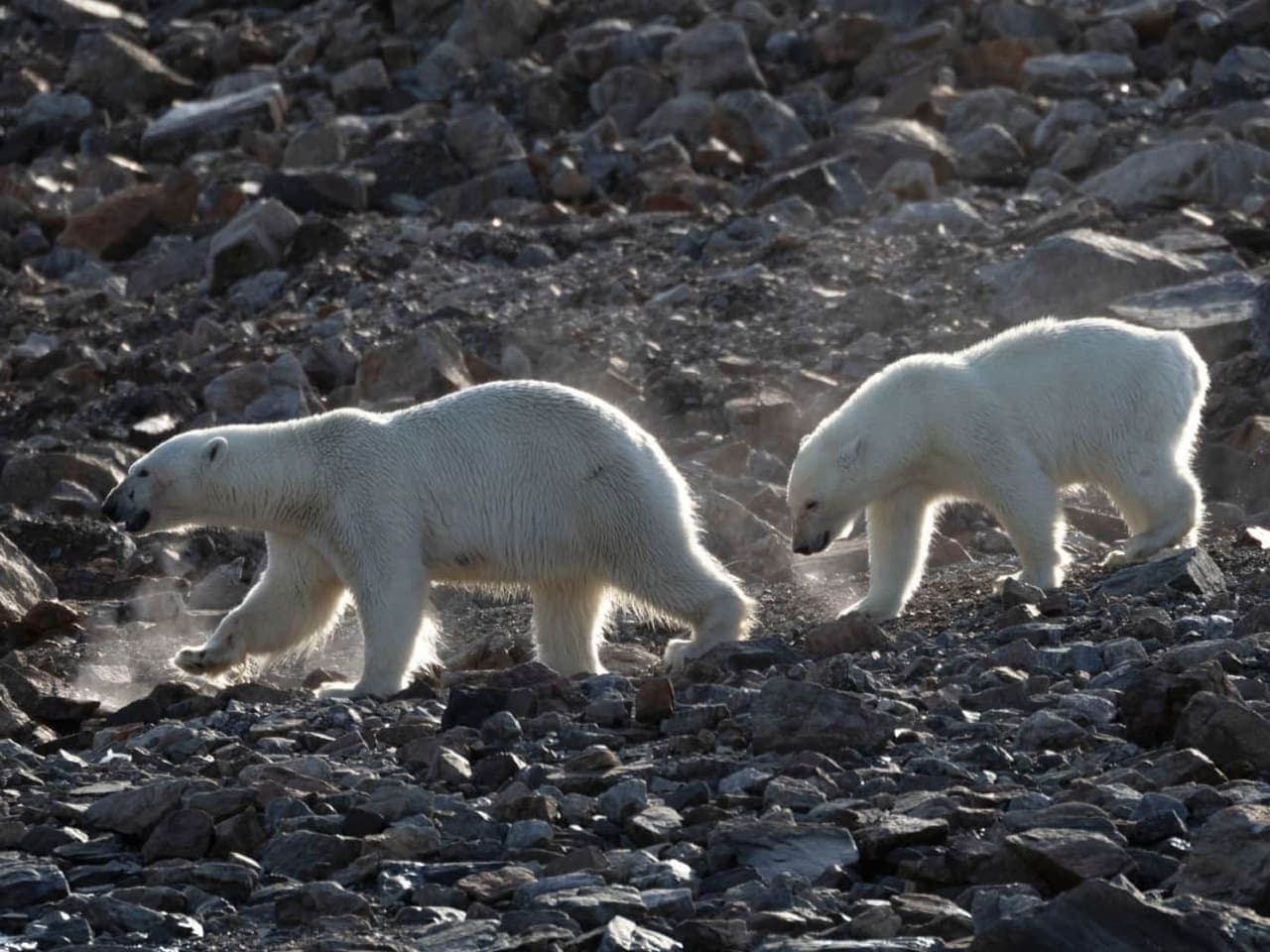 The Seabourn Northwest Passage Experience (Day 3)